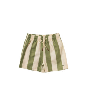 Salted Stories Swim Shorts Wide Stripe Iguana