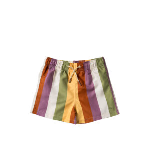 Salted Stories Swim Shorts Multi Stripe Multicolor