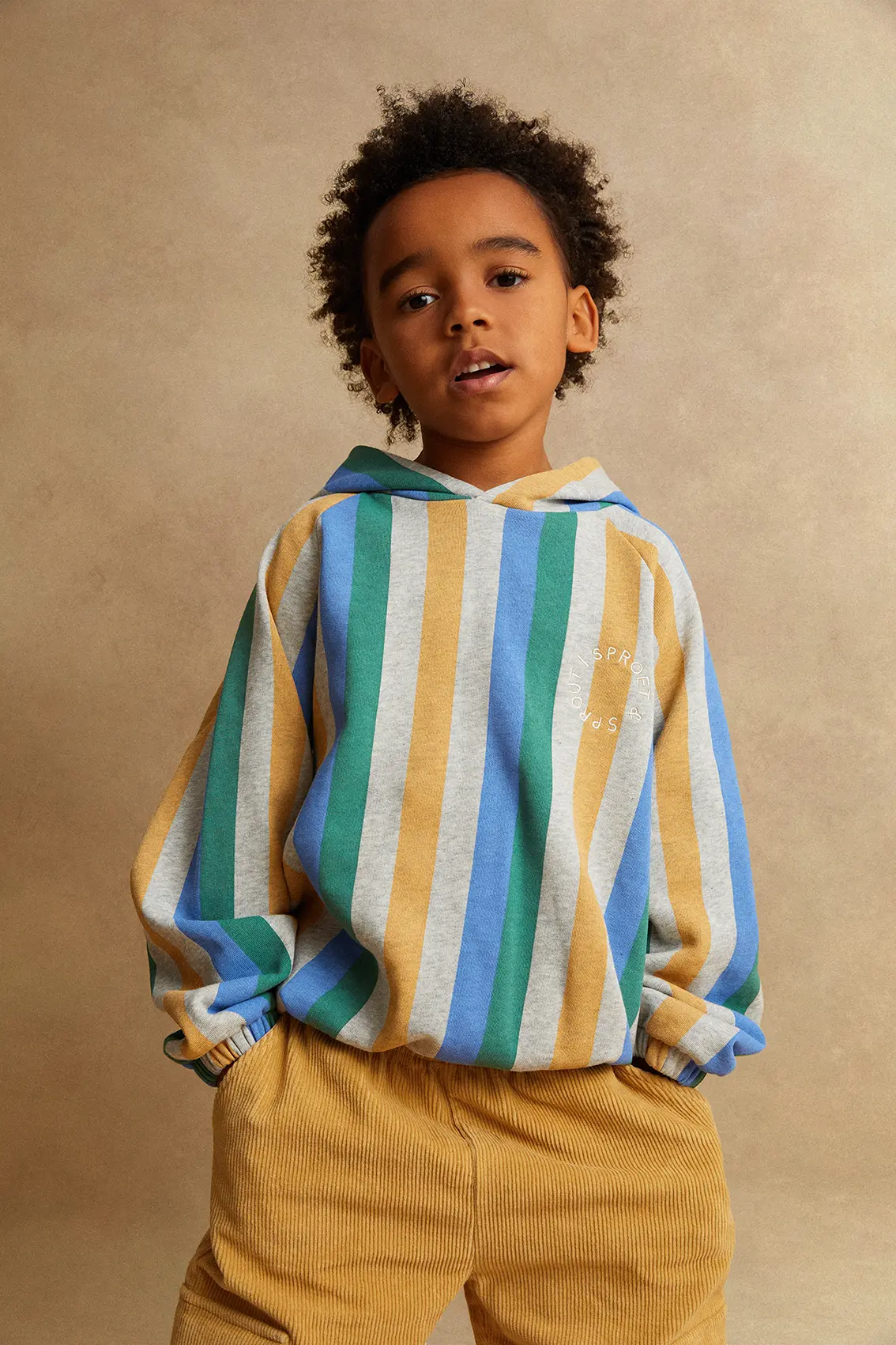 Sweatshirt hoody stripes Grey melee 2