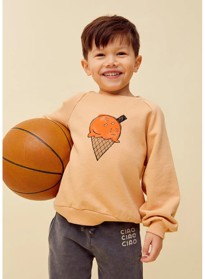 sproet-sprout-sproet-sprout-raglan-sweatshirt-ice